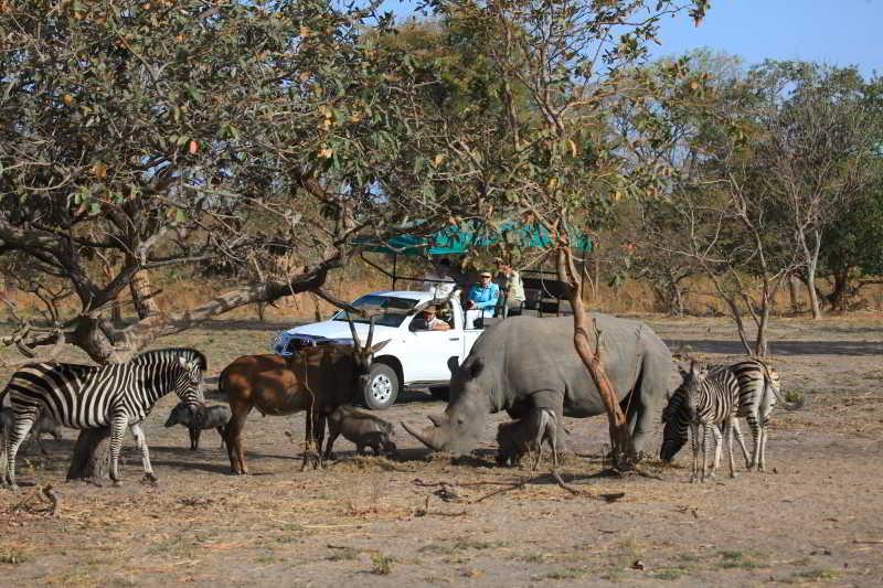 Fathala Wildlife Reserve Toubakouta Ngoại thất bức ảnh