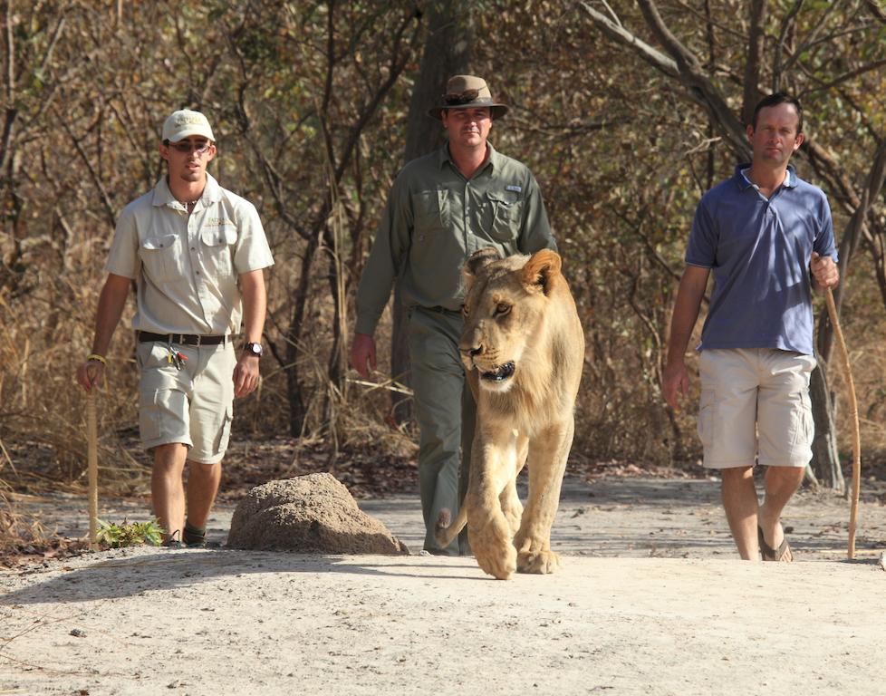 Fathala Wildlife Reserve Toubakouta Ngoại thất bức ảnh