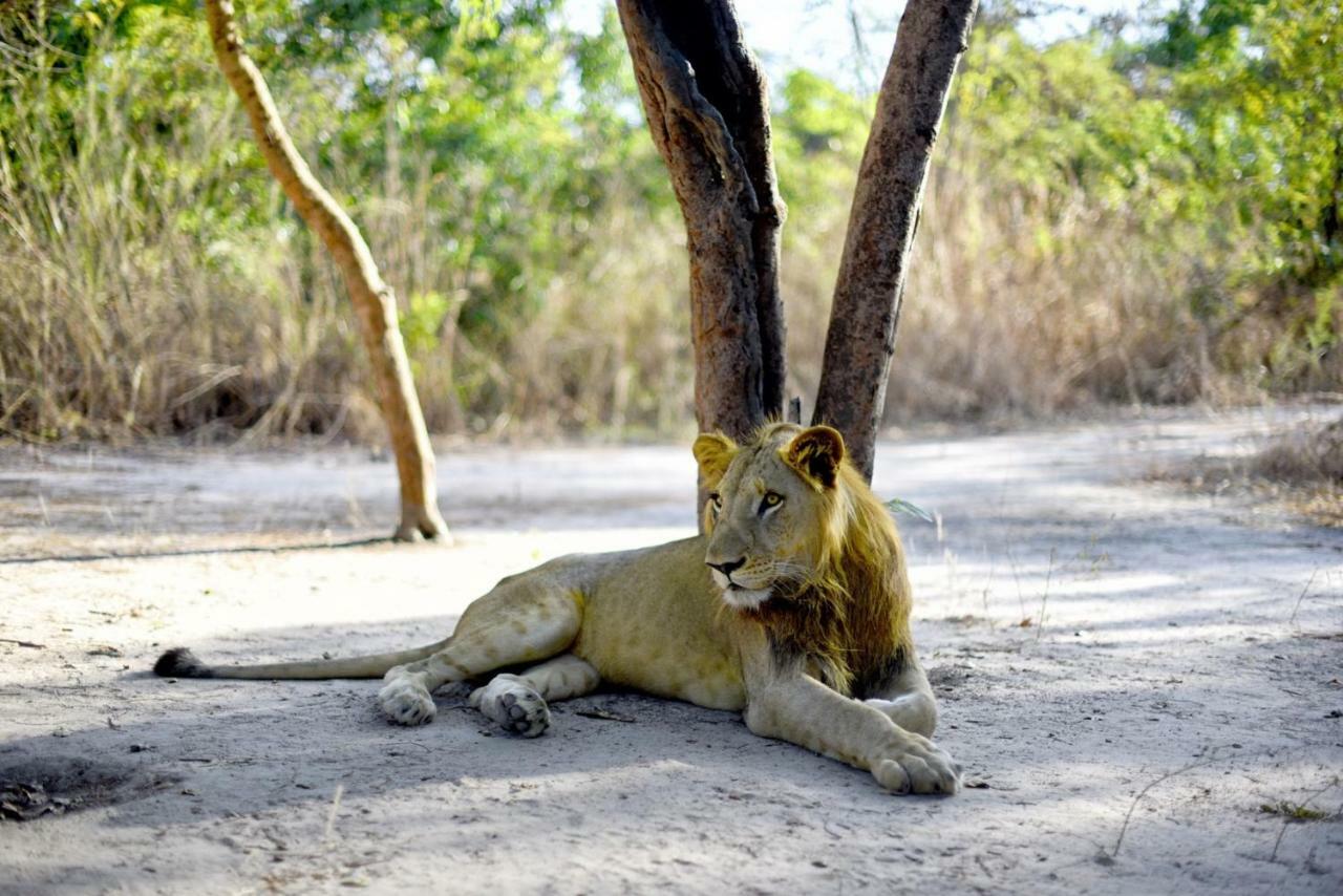 Fathala Wildlife Reserve Toubakouta Ngoại thất bức ảnh