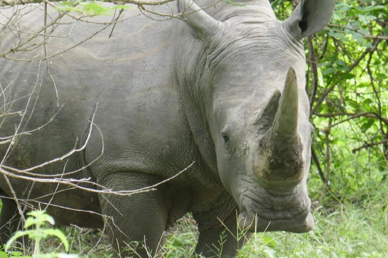 Fathala Wildlife Reserve Toubakouta Ngoại thất bức ảnh